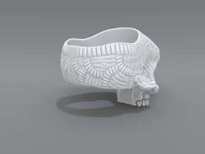 ring scull 3D Print Model