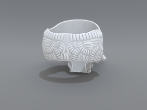 ring scull 3D 打印模型