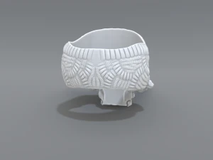 ring scull 3D Print Model