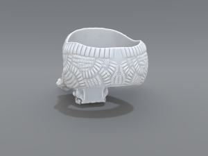 ring scull 3D 打印模型