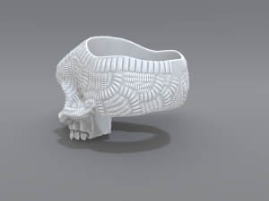 ring scull 3D 打印模型