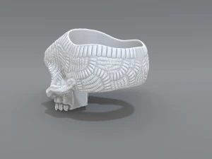 ring scull 3D Print Model