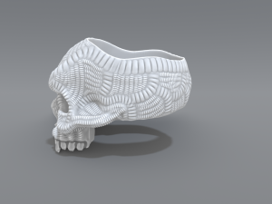 ring scull 3D 打印模型