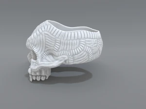 ring scull 3D Print Model