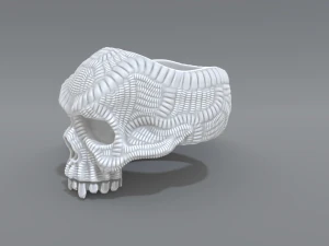 ring scull 3D Print Model