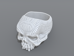 ring scull 3D 打印模型
