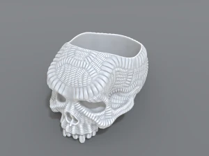 ring scull 3D Print Model