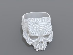 ring scull 3D 打印模型