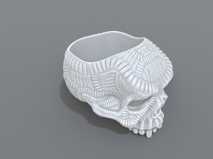 ring scull 3D 打印模型