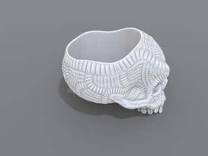 ring scull 3D 打印模型