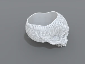 ring scull 3D Print Model