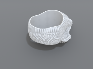 ring scull 3D 打印模型