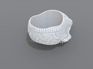 ring scull 3D Print Model