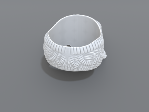 ring scull 3D 打印模型