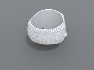 ring scull 3D Print Model