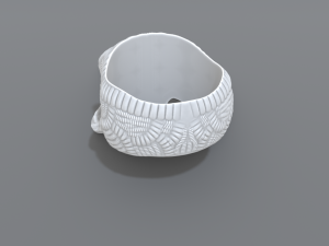ring scull 3D 打印模型