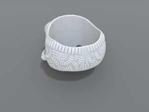 ring scull 3D Print Model