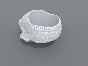 ring scull 3D 打印模型