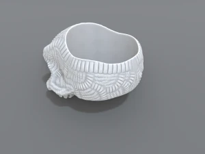 ring scull 3D Print Model