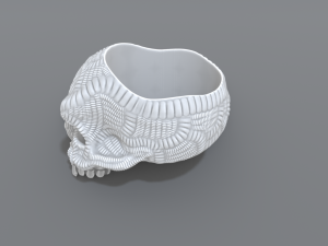 ring scull 3D 打印模型