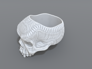 ring scull 3D 打印模型