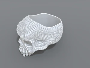 ring scull 3D Print Model
