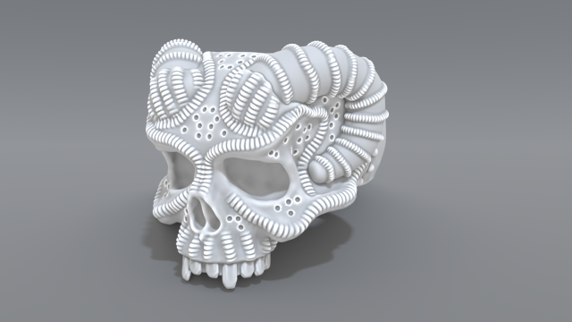 ring scull 3D Print Model .c4d .max .obj .3ds .fbx .stl .blend 