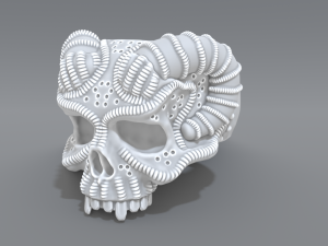 ring scull 3D Print Model