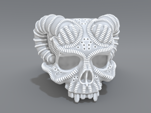 ring scull 3D Print Model