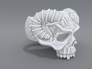 ring scull 3D Print Model
