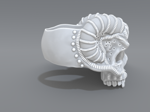 ring scull 3D Print Model