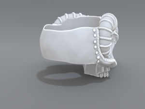 ring scull 3D Print Model