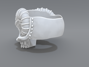 ring scull 3D Print Model