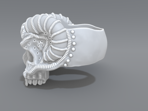 ring scull 3D Print Model