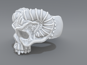 ring scull 3D Print Model