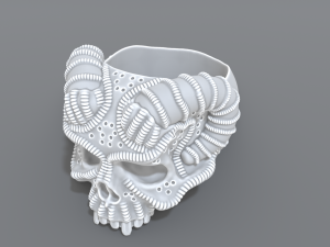 ring scull 3D Print Model