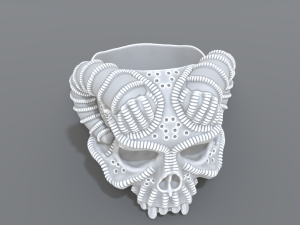 ring scull 3D Print Model