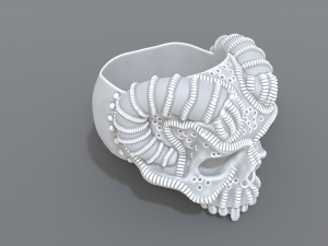 ring scull 3D Print Model