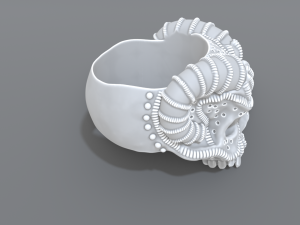 ring scull 3D Print Model