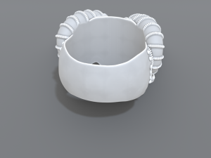 ring scull 3D Print Model