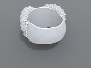 ring scull 3D Print Model