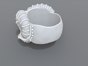 ring scull 3D Print Model
