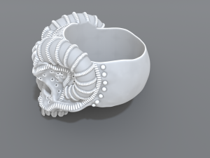 ring scull 3D Print Model