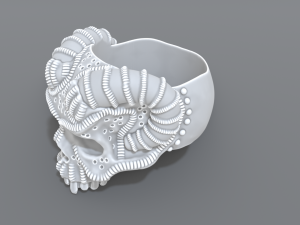 ring scull 3D Print Model
