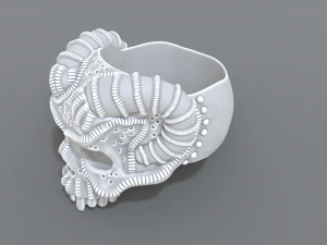 ring scull 3D Print Model