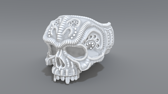 ring scull 3D 프린트 모델 .c4d .max .obj .3ds .fbx .stl .blend 