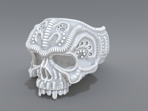 ring scull 3D 打印模型