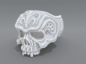 anillo de cr&aacute;neo Modelo de impresión 3D