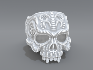 ring scull 3D 프린트 모델