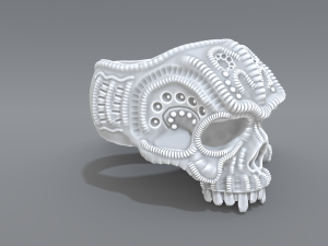 ring scull 3D 프린트 모델